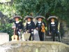 Enviar  serenata, un regalo perfecto 02-7279788 en www.chileanuncios.cl. Aviso Gratis enviado por Mariachi chile mexico el 31/8/2010