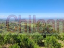 Parcelas en zona de san javier