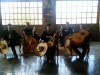 www.mariachisalytequila.com serenatas en chile