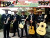 mariachis con la mejor musica de mexico 