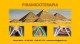 terapias naturales con piramidoterapia para diferentes enfermedades.