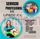 Asesoras de hogar, niñeras, aseo, cuidadoras de adulto mayor