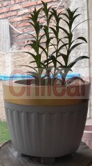 Maceteros de cemento