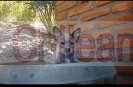 Blueheeler