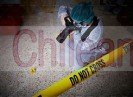 Perito criminalista