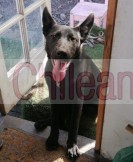 Alba debe encontrar un nuevo hogar