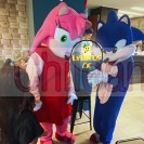 Sonic y amy rose 