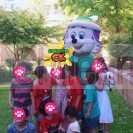 Everest paw patrol