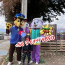 Arriendo corporeos 