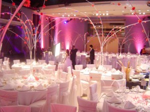  Anuncios gratis en Santiago |  CONTAMOS CON TODOS LOS SERVICIOS PARA TUS EVENTOS, CUMPLEA&Ntilde;OS, MATRIMONIOS, FIESTAS, EMRESAS, EVENTOS EN GENERAL
