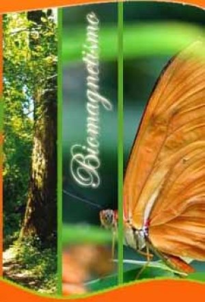 Paola Gomez Varela Anuncios gratis en Concepci&oacute;n |  Biomagnetismo, imanes que curan , ahora en chile, En concepcion,alumna dr.goiz,contacto 996990749 