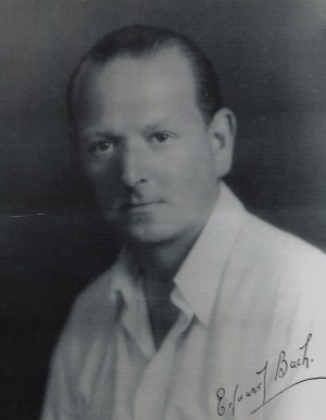 Elsa Mendoza Valdivia Anuncios gratis en Vi&ntilde;a del Mar |  Flores de Bach , Terapia Natural 