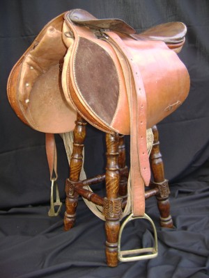 ANDREA FERNANDEZ Anuncios gratis en Concepci&oacute;n |  VENDO MONTURA INGLESA, MONTURA PARA ENTRENAMIENTO Y SALTO