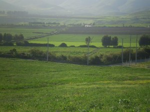 Imperium Anuncios gratis en La Serena |  PARCELA DE AGRADO EN LA SERENA CON LUZ Y AGUA POTABLE, PARCELA DE AGRADO