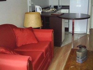 deptomarin Anuncios gratis en Santiago |  ARRIENDO DEPARTAMENTOS AMOBLADOS. Santiago, (d&iacute;a/s y semanas), VER FOTOS EN PAGINA WEB.-