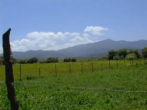 Miguel Arias Anuncios gratis en Melipilla |  800 m2 desde $2.590.000.-, Terrenos Chile, Melipilla, a un precio irrepetible!!!! 