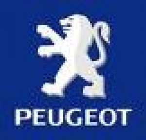 lucio Anuncios gratis en Estaci&oacute;n Central |  vendo repuestos citroen peugeot, citroen peugeot vendo repuetos