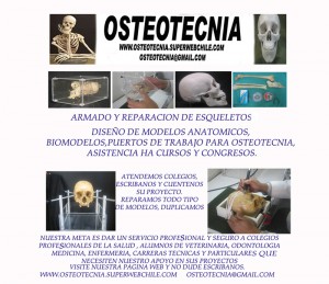 JOSE MIGUEL MASMAN C Anuncios gratis en Santiago |  OSTEOTECNIA  ARMADO Y REPARACION DE ESQUELETOS, BIOMODELOS