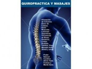 RICARDO Anuncios gratis en Santiago |  CURSO QUIROPRAXIA, OSTEOPATIA, MASAJES, DRENAJES, VIDEOS Y MAS, IMPRESIONANTE Y COMPLETO MATERIAL PROFESIONAL