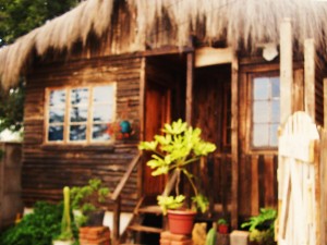 CABA&Ntilde;A DEL &Atilde;RBOL Anuncios gratis en Conc&oacute;n |  CABA&Ntilde;A CONCON, FINES DE SEMANA Y VACACIONES 2010, INSPIRADORA CABA&Ntilde;A R&Uacute;STICA