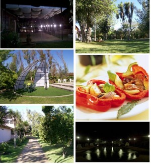 La Palma, centro de eventos Anuncios gratis en Talagante |  centro de eventos la palma, matrimonio, graduaciones, asados campestres, evento empresas, paseos colegi