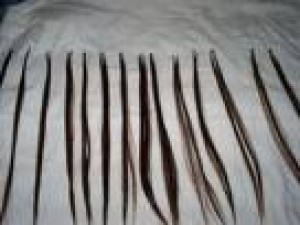 FRANCO Anuncios gratis en Santiago |  PONGO EXTENSIONES A DOMICILIO, PELUQUERIA A DOMICILIO