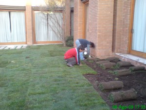 AQUILES AGURTO Anuncios gratis en Huechuraba |  MANTENCI&Oacute;N Y CONSTRUCCI&Oacute;N DE JARDINES , MANTENCI&Oacute;N DE JARDINES