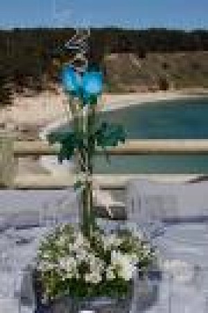 Mauricio Rojas Anuncios gratis en Santiago |  ARREGLOS FLORES NATURALES , RAMOS DE NOVIA, DECORACION MATRIMONIOS, MAURICIO ROJAS - WILMA FUENTES PEINADOS Y MAQUILLAJES A DOMICILIO