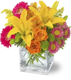 Flores Aquarela.com Anuncios gratis en Santiago |  Flores Aquarela.com Florerias en Santiago Cajas de Rosas Arreglos Flores , Arreglos de Rosas Floreria en Chile Flores Primaverales Floreria Ramos 