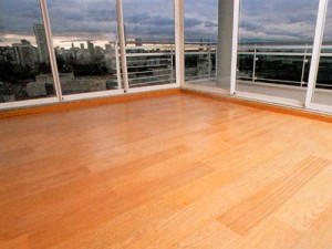 ISABEL TRONCOSO Anuncios gratis en Santiago |  LIMPIEZA DE PISO FLOTANTE - Vuelva al Color original, ELIMINAMOS TODA LA CERA Y RESIDUOS PEGADOS