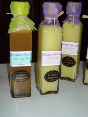 NaturALE Anuncios gratis en La Serena |  Shampoo y B&aacute;lsamos NaturALE, Hay para todo tipo de cabellos