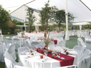 Carpas Contreras Anuncios gratis en Santiago |  Carpas, Toldos, Vajilla, tenemos todo lo que buscas para tus eventos!