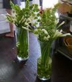 Mauricio Rojas Anuncios gratis en Santiago |  ARREGLOS FLORES NATURALES , RAMOS DE NOVIA, DECORACION MATRIMONIOS, MAURICIO ROJAS - WILMA FUENTES PEINADOS Y MAQUILLAJES A DOMICILIO