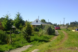 MARIO FLORES Anuncios gratis en Puerto Montt |  SE VENDE CAMPO DE AGRADO, SE VENDE CAMPO