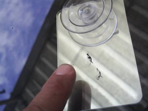 jean corail  Anuncios gratis en Quillota |  REPARACION DE PARABRISAS GLASS-CENTER QUILLOTA  CON CON, GLASS-CENTER  REPARACION DE PARABRISAS