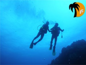 Cursos de Buceo Anuncios gratis en Las Condes |  buceo en chile  www.fulladrenalin.cl, Bautismo Submarino www.fulladrenalin.cl