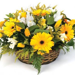 Mauricio Rojas Anuncios gratis en Talagante |  ARREGLOS FLORES NATURALES , RAMOS DE NOVIA, DECORACION MATRIMONIOS, MAURICIO ROJAS - WILMA FUENTES PEINADOS Y MAQUILLAJES A DOMICILIO