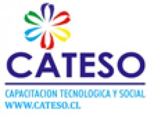 Cateso Limitada Anuncios gratis en Vi&ntilde;a del Mar |  Cursos de Idiomas, para V region