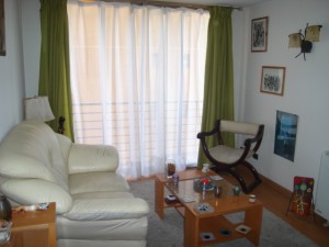 S&C Propiedades Anuncios gratis en Santiago |  ARRIENDO DEPARTAMENTO SANTIAGO CENTRO AMOBLADO - PARQUE FORESTAL, VALOR $ 250.000 Mensuales