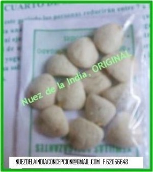 jeanneete Anuncios gratis en Concepci&oacute;n |  nuez de la india $12.000, tratamiento para 52 dias 09-62066643(entel)