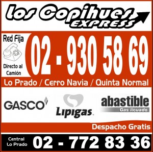 Gas Los Copihues Anuncios gratis en Lo Prado |  Gas Los Copihues, Agencia de Gas