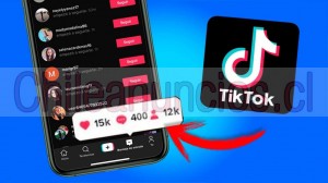Marcelo Anuncios gratis en &Ntilde;u&ntilde;oa |  Seguidores tiktok automáticos cada mes políticos empresas, Servicio mensual de seguidores reales en tiktok para empresas