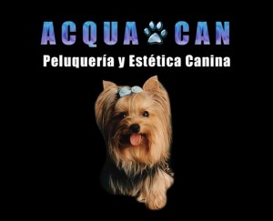 ACQUA CAN Anuncios gratis en La Reina |  PELUQUERIA CANINA ACQUA CAN A PRECIOS JAMAS VISTOS EN ZONA ORIENTE, $ 5000 RAZAS CHICAS Y MEDIANAS $ 6500 GRANDES