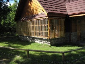 Caba&ntilde;as �Ruca Magyar� Anuncios gratis en Puc&oacute;n |  Caba&ntilde;as arriendo en Puc&oacute;n , Caba&ntilde;as �Ruca Magyar�