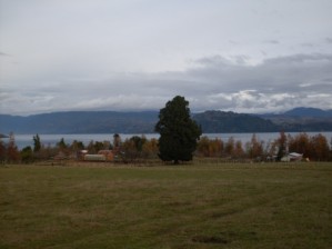 Hector Garai Anuncios gratis en Lican-Ray |  Sitios Lican Ray, Se venden excelentes sitios