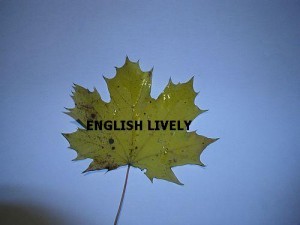 English Lively Anuncios gratis en Rancagua |  ENGLISH LIVELY centro de idiomas ofrece..., en Rancagua