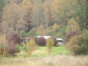 C. Andrea Molina C. Anuncios gratis en Paraguay Chico |  ARRIENDO CABA&Ntilde;A CERCA LAGO PANGUIPULLI, Caba&ntilde;a en Panguipulli para 6 personas