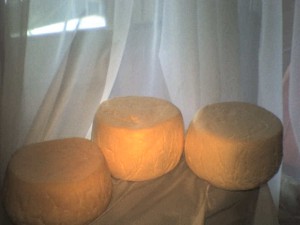 quesos de 1.2k hasta 10 kg Anuncios gratis en Temuco |  se venden quesos artesanales mantecosos excelente calidad y sabor, mejor sabor precio y calidad