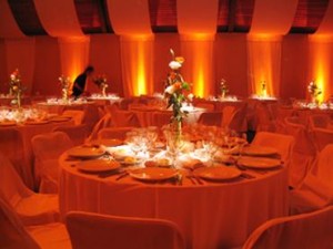 ERIKA GODOY TRAPP Anuncios gratis en Concepci&oacute;n |  PRODUCTORA DE EVENTOS T Y H, MATRIMONIOS, GRADUACIONES, FIESTAS DE EMPRESA