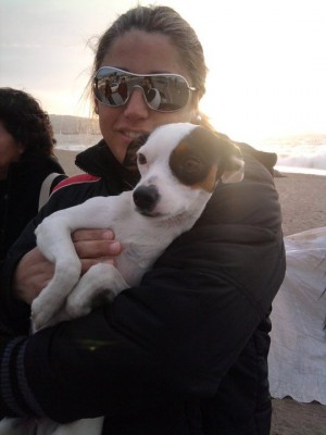 SAMANTHA SE BUSCA PERDIDA EN OLMUE Anuncios gratis en Olmu&eacute; |  se busca perrita fox terrier llamada samantha perdida en olmue el 18 de sep, se perdio en el parque de olmue es blanca con manchas negras y esta cojita